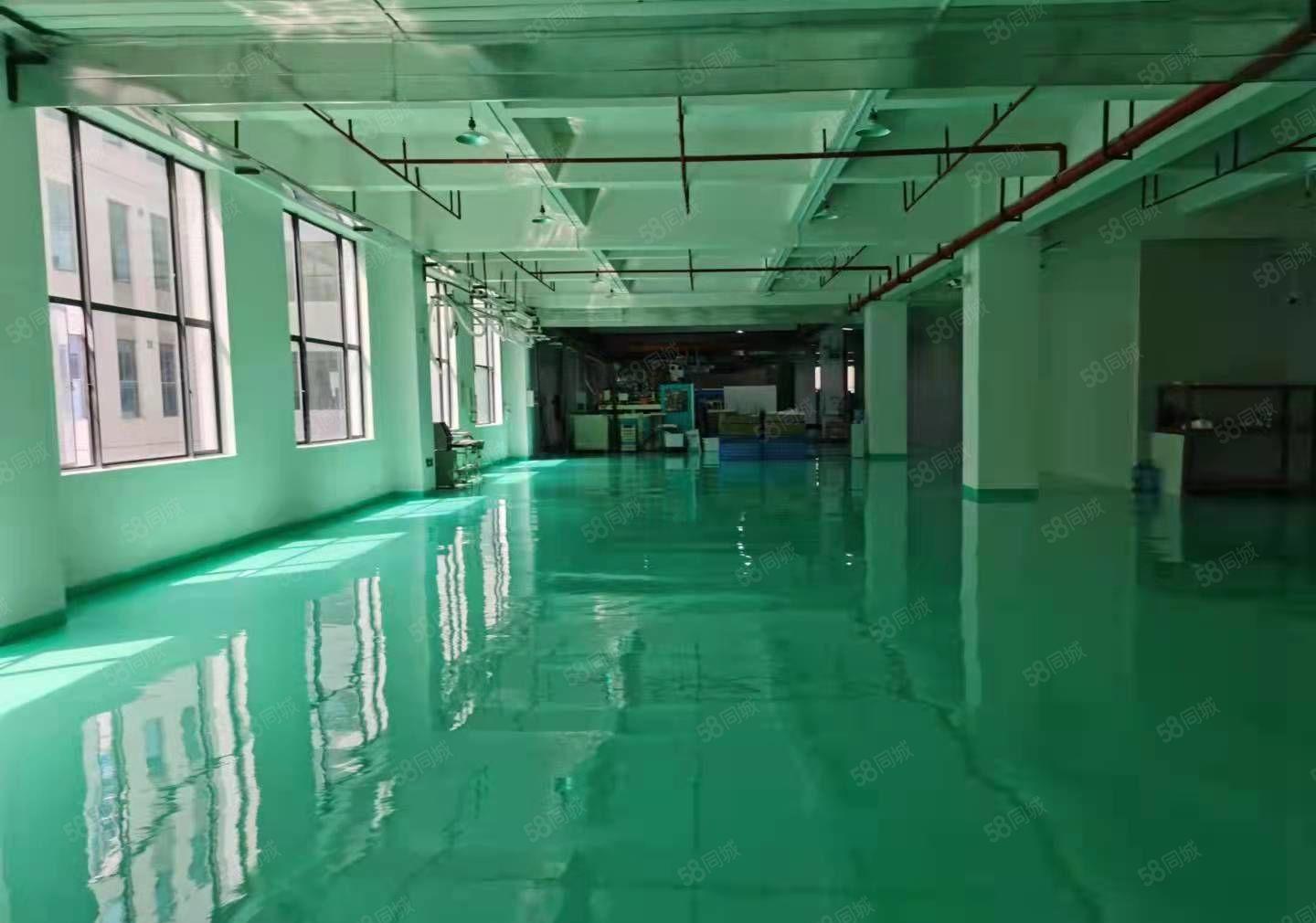 望牛墩红本高新产业园