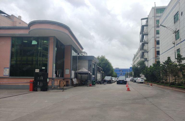 大小可分租原房东8元面积实量谢岗樟木头5千平一楼仓库厂房出租