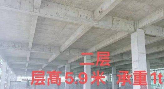 国有工业地50年产权，四层独栋，企业灵活搭配