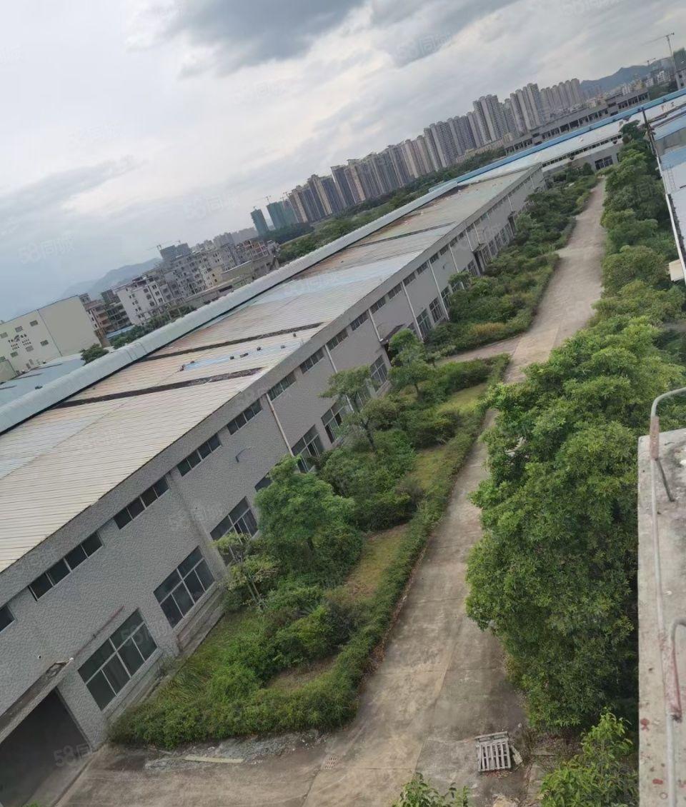 惠城区马安镇10万平方钢构厂房出租