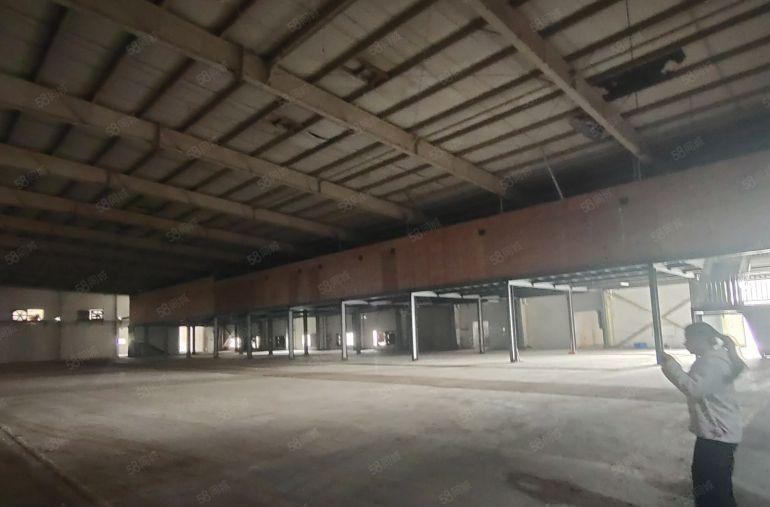 惠城区马安镇独栋钢构出租，超大空地，可分租