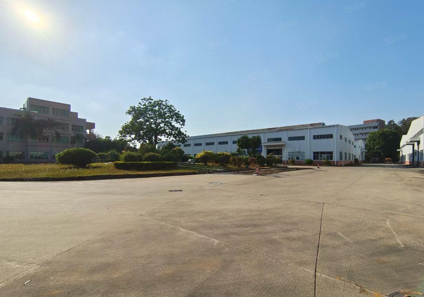 惠城区水口单一层约22000平方花园式钢构厂房招租
