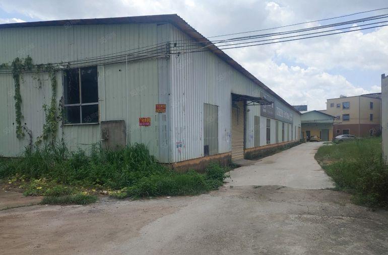厂房出租河南岸冷水坑仓库出租1100方高6米可分租12元一方