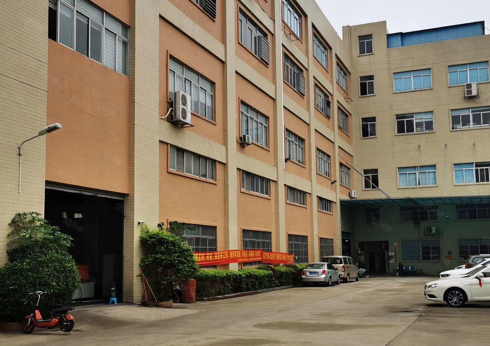 马安新乐现成装修红本标准厂房2160平 证件齐全 交通便利