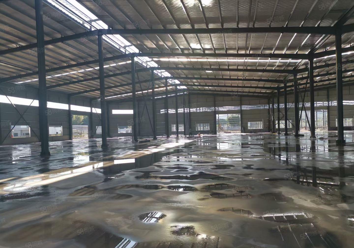 马安原房东钢构厂房8500平方出租，高11米可以分租