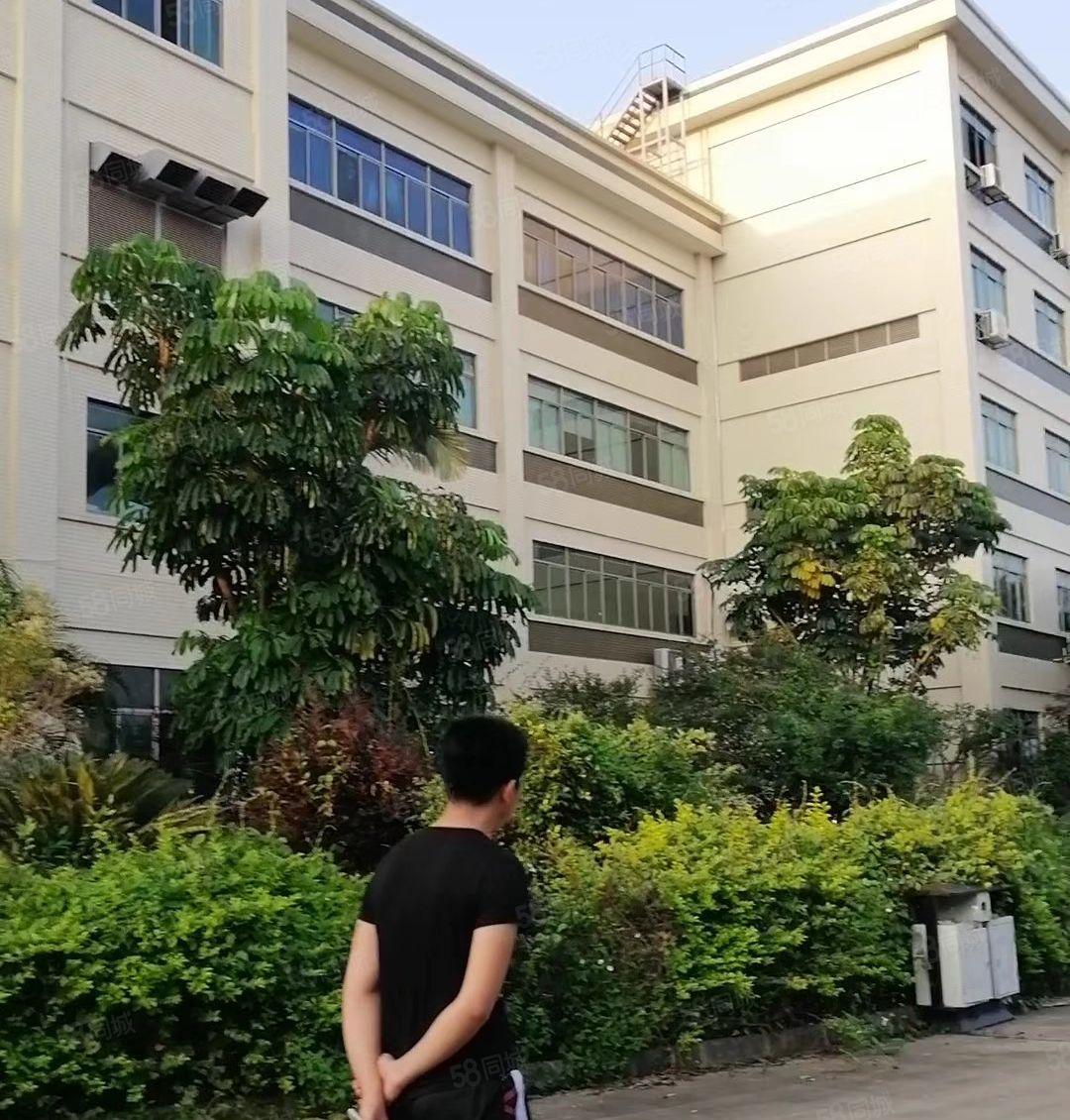 水口东江工业区850平米标准工业园厂房出租