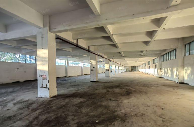 惠州厂房出租三栋厂房房东直租6800平电商仓库出租可分租厂房