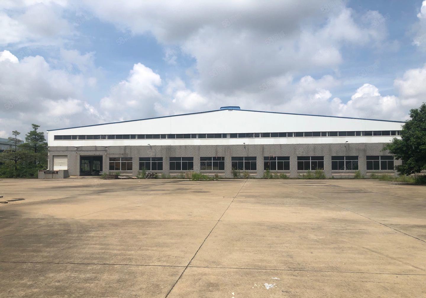 惠城区马安镇滴水11米国有证钢构厂房招租