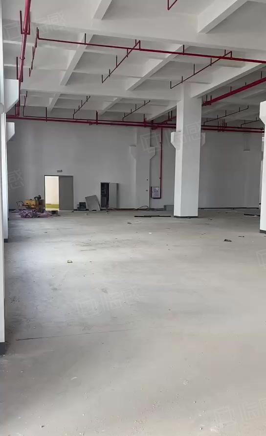 惠州原房东新建标准厂房仓库18万平方出租可分租
