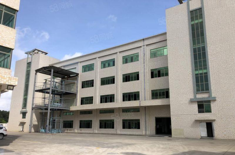 三栋数码南区 花园式一楼1600平标准厂房出租