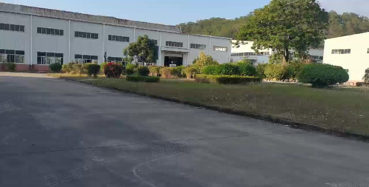 惠州惠城水口原房东钢构厂房仓库9米高2800平米出租可办环评