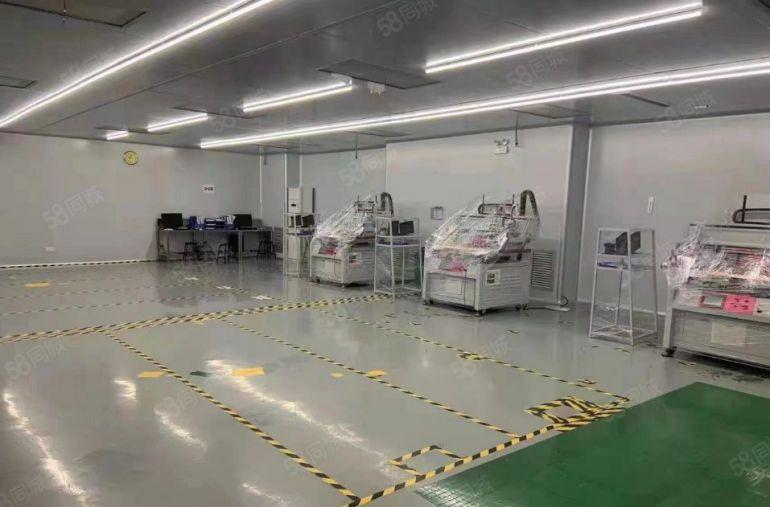 惠城区三栋镇现成装修标准无尘车间低价厂房出租