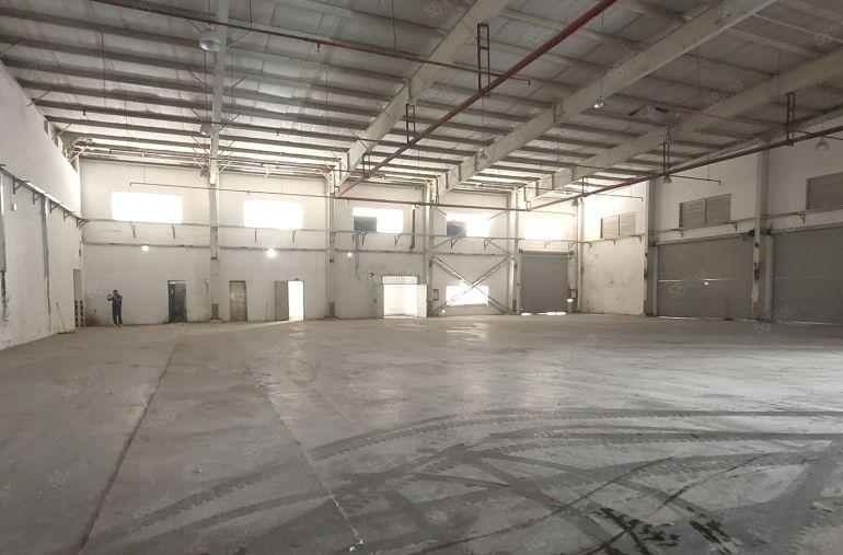 惠城区马安镇独栋钢构出租，超大空地，可分租
