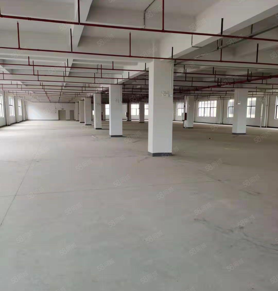 东江高新区全新园区招租，3000平米，租金实惠