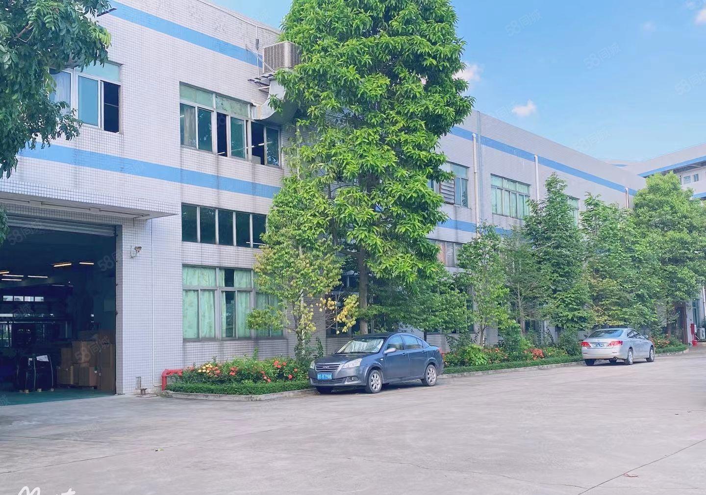 水口独院厂房两层厂房6600平方低价出租，有宿舍饭堂