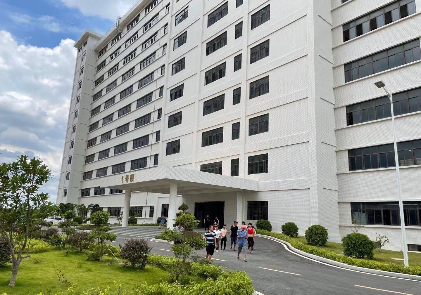 水口标准厂房价格便宜9元起租