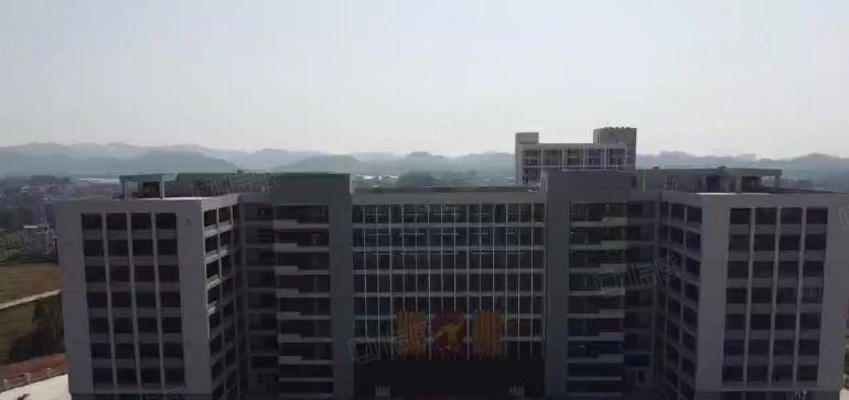 马安镇新乐工业区全新厂房出租（租厂房送装修）