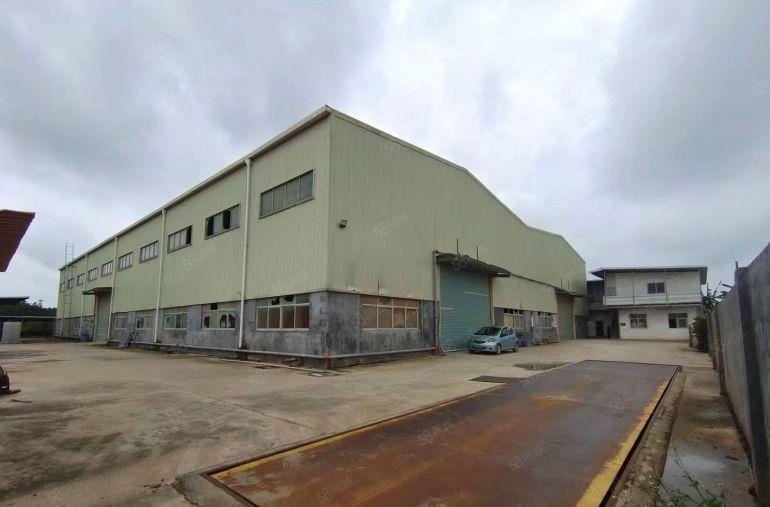 水口原房东独院单一层钢结构厂房实际面积出租10米滴水
