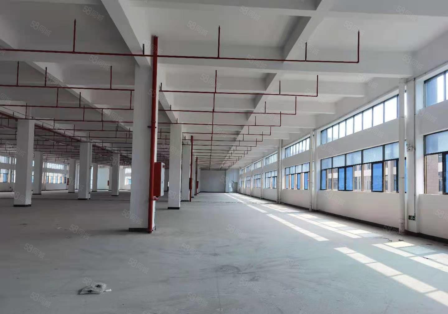 小金四角楼金龙大道工业园一楼2380平方重工业厂房出租