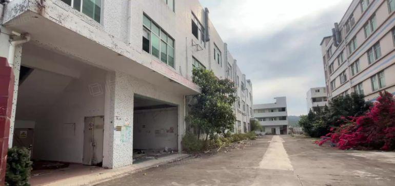 惠城小金口主干道边新出原房东楼上500平方米起精装修厂房出租