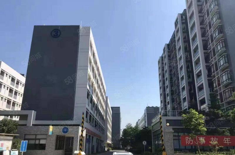 惠州三栋9900平带天然气管道红本标准厂房一楼9米出租
