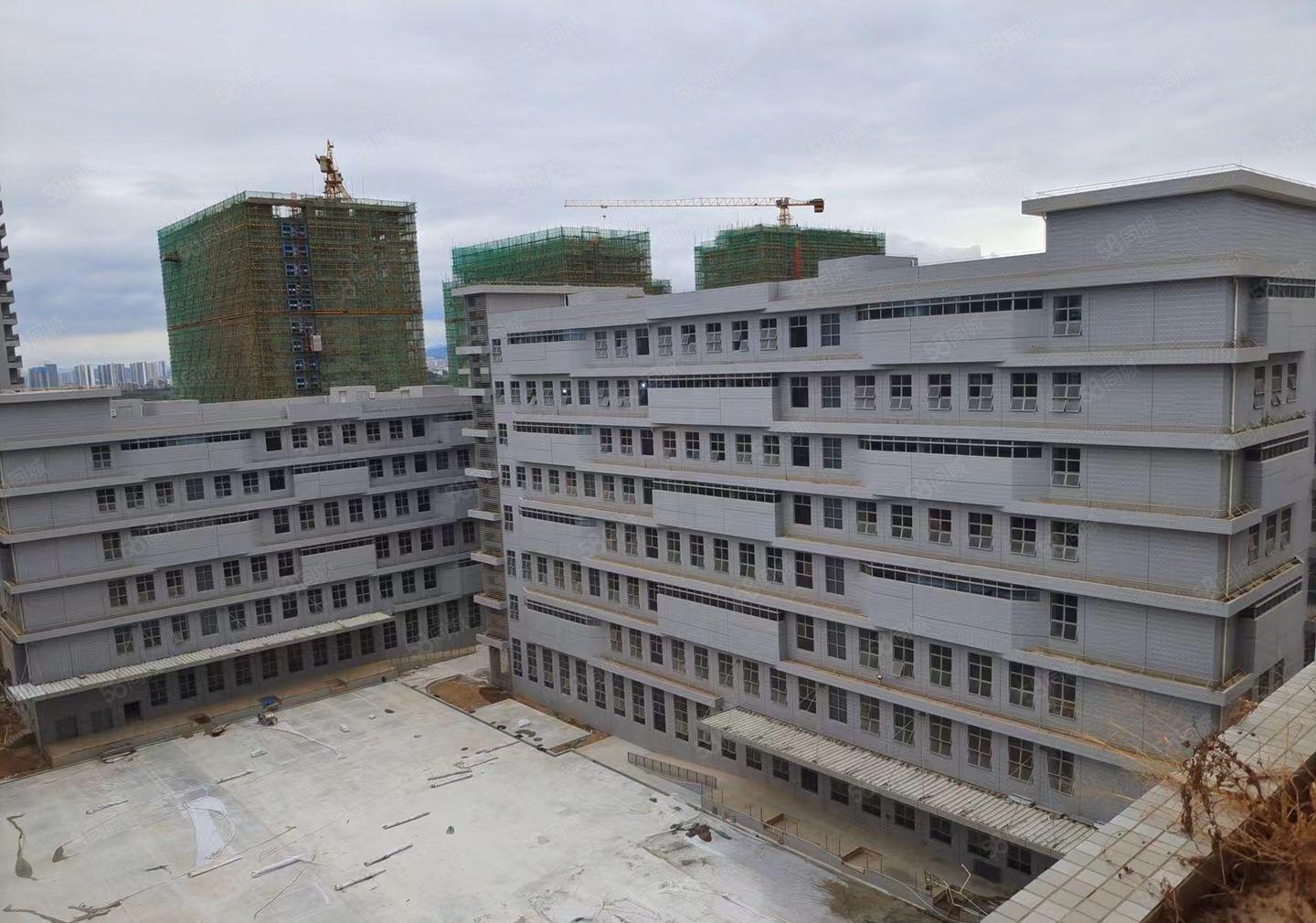 东江工业区全新厂房三十五万平方任意分租