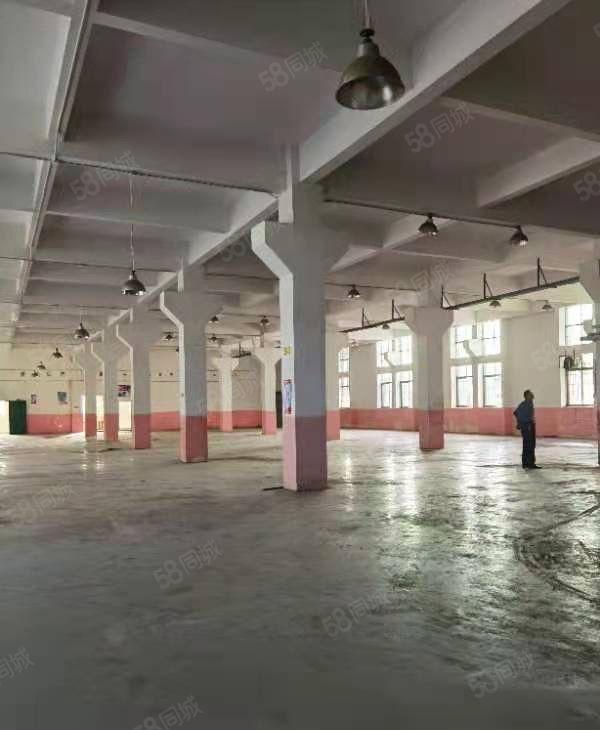 新出一楼约1500平方原房东红本厂房，标准一楼高7米带牛腿