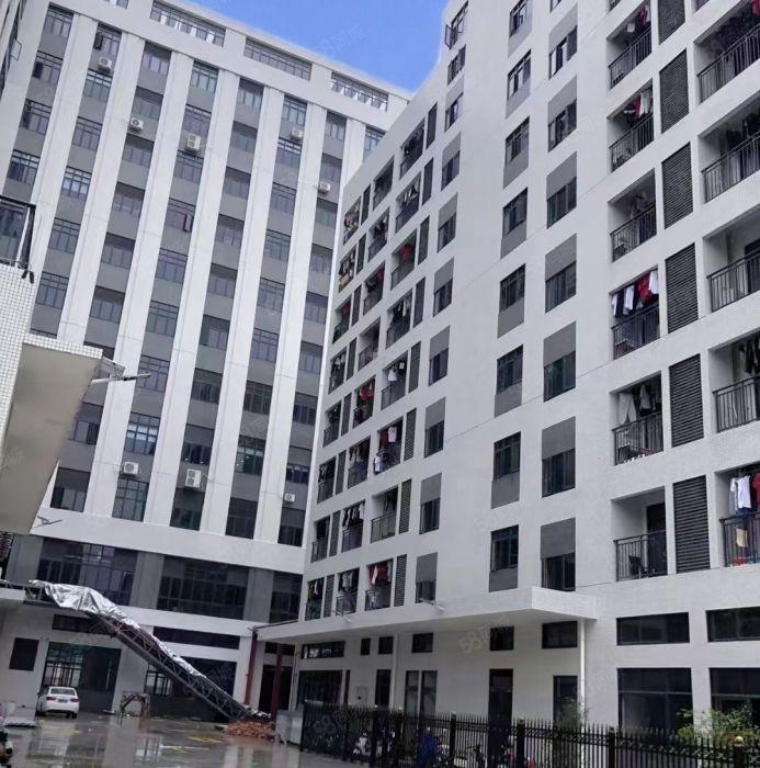 马安新乐 原房东红本全新标准厂房1000平起租 租金13