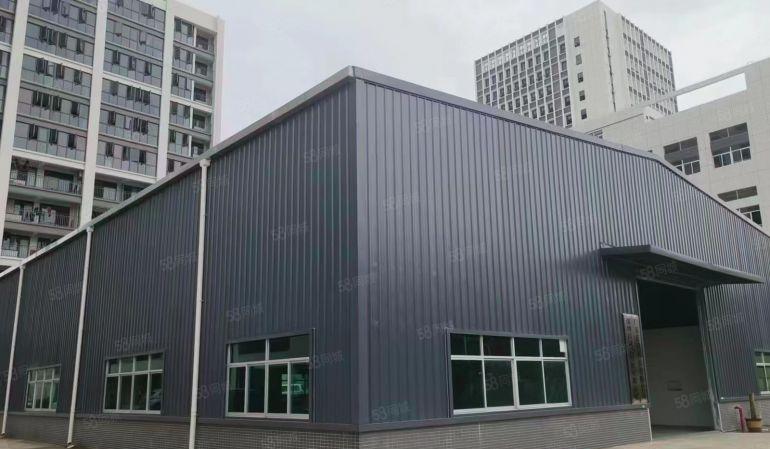 惠城区马安镇独栋单一层钢结构厂房仓库出租