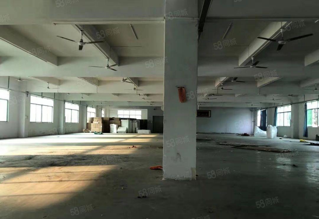 惠州三和现成水电装修周围交通方便独门独院2500平标准厂房