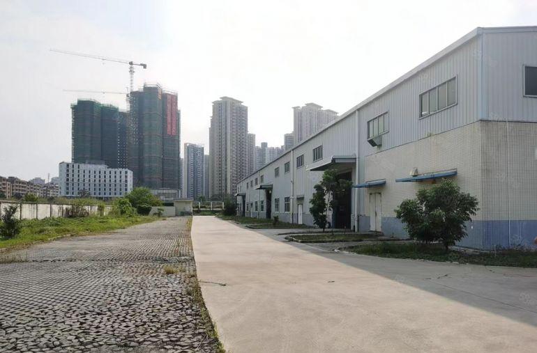 11块，惠阳秋长茶园5000平独栋钢构厂房仓库出租，可办环评
