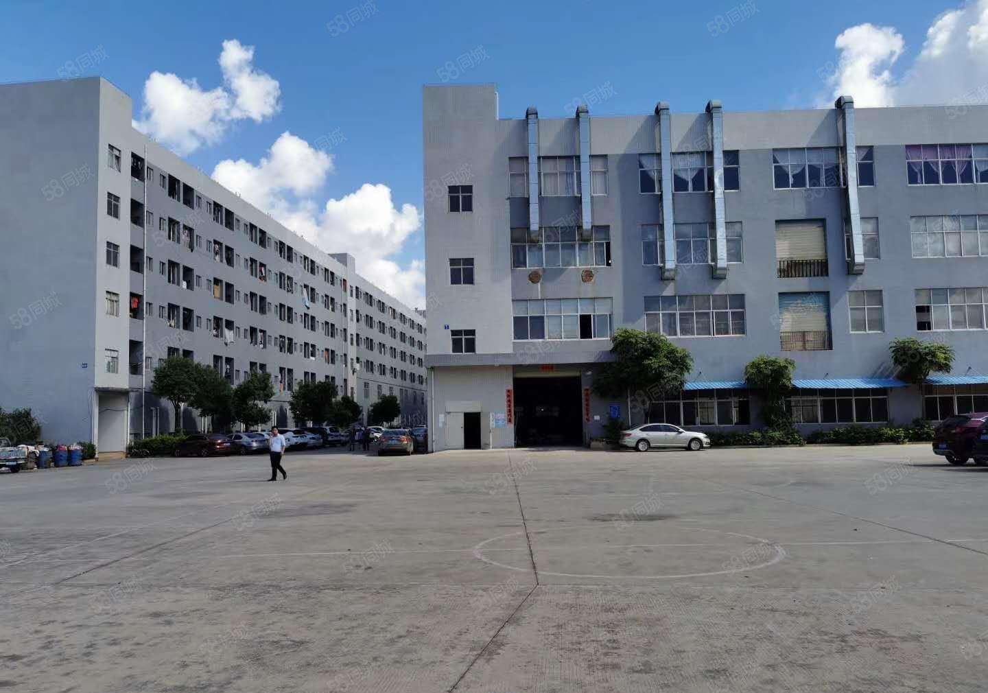 带消防独门独院厂房招租了喂！！现成水电装修带环评