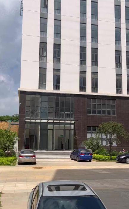 （出租）临深带装修 红本无公摊 开发商出租