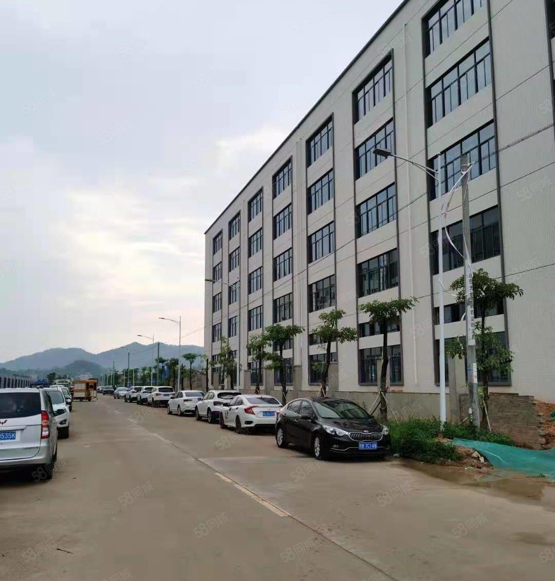 惠州惠阳区平潭镇全新原房东独门独院标准厂房火热招商国有红本