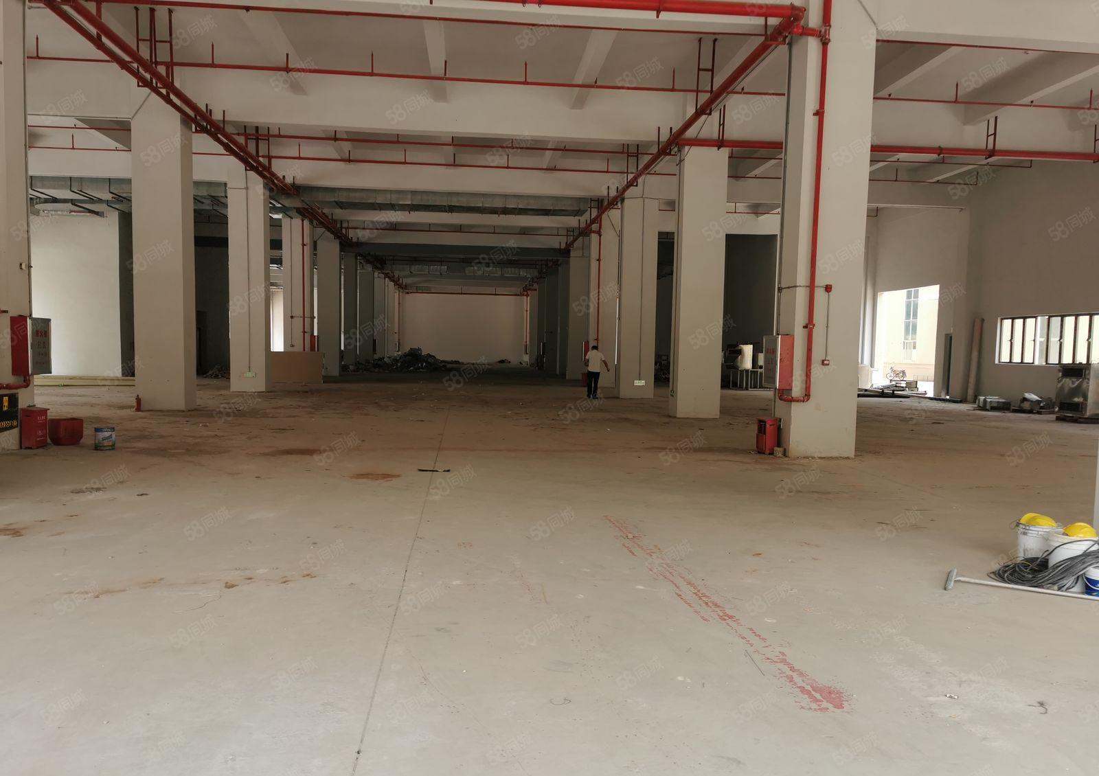 惠阳镇隆全新成熟工业园12500平方标准厂房出租大小可分