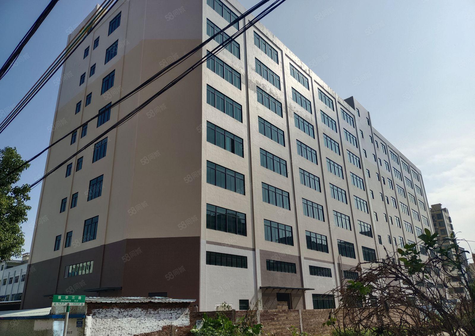 全新建设15元含税价标准红本厂房出租，原房东实际面无公摊！