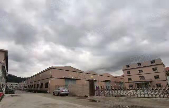 新圩新出钢构独院11000平，大小可分租