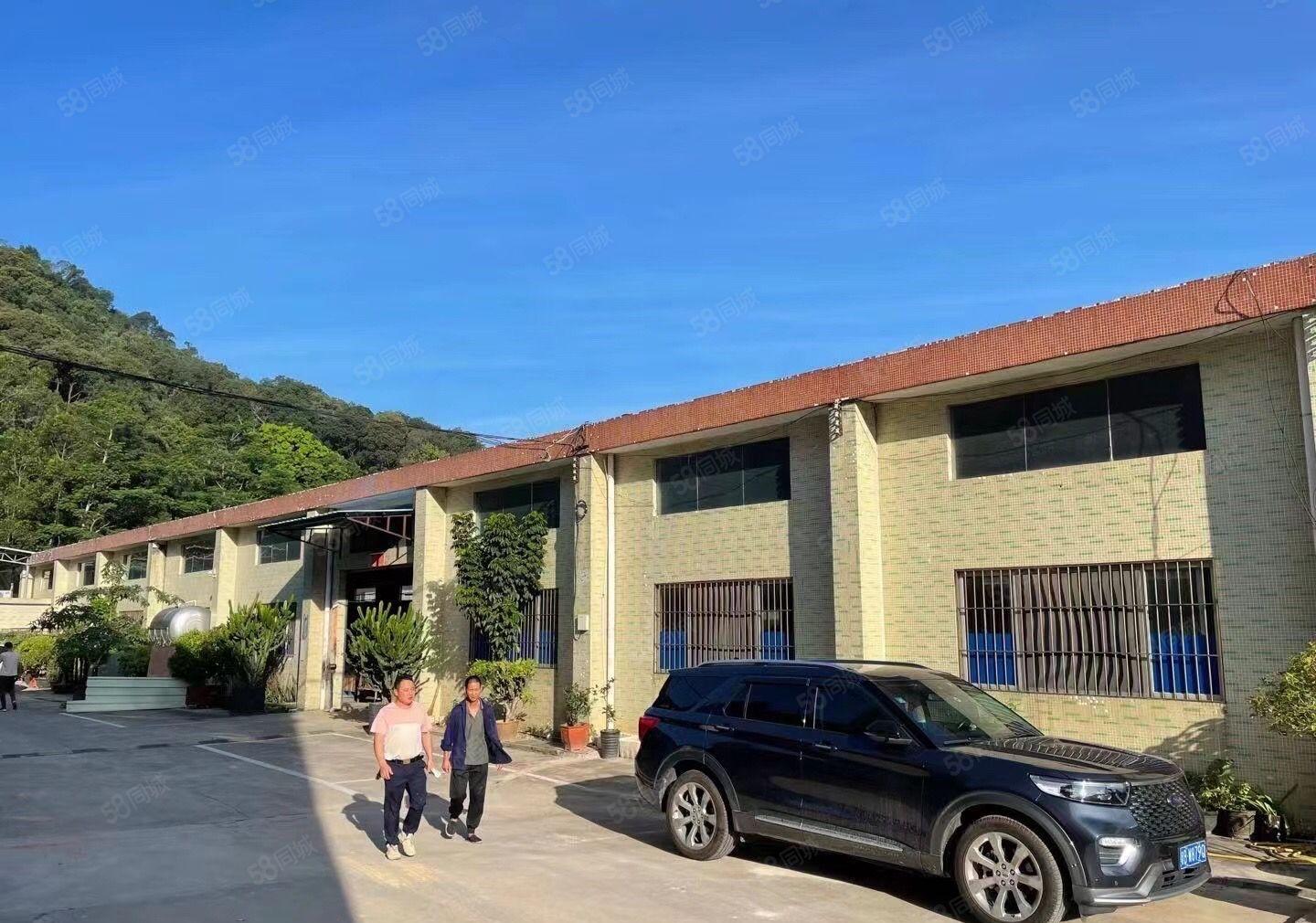 镇隆背靠山独院钢构厂房证件齐全行业不限