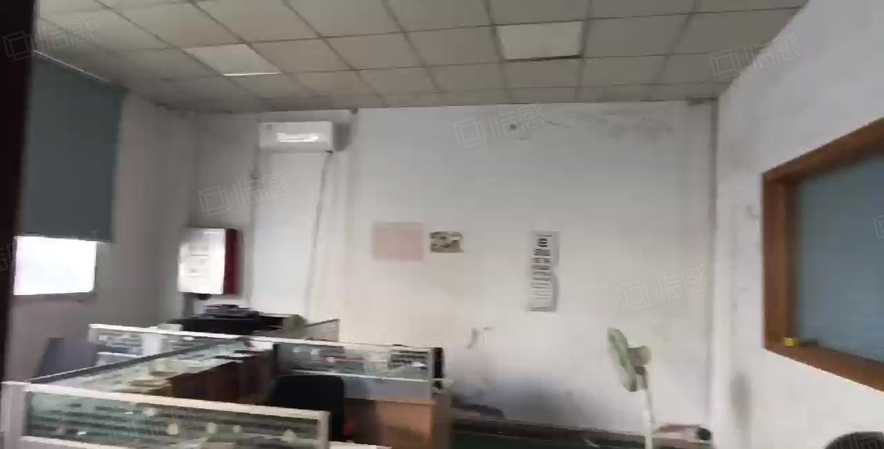 经典独栋！新圩新出单层钢构1000平厂房出租！滴水7米！！！