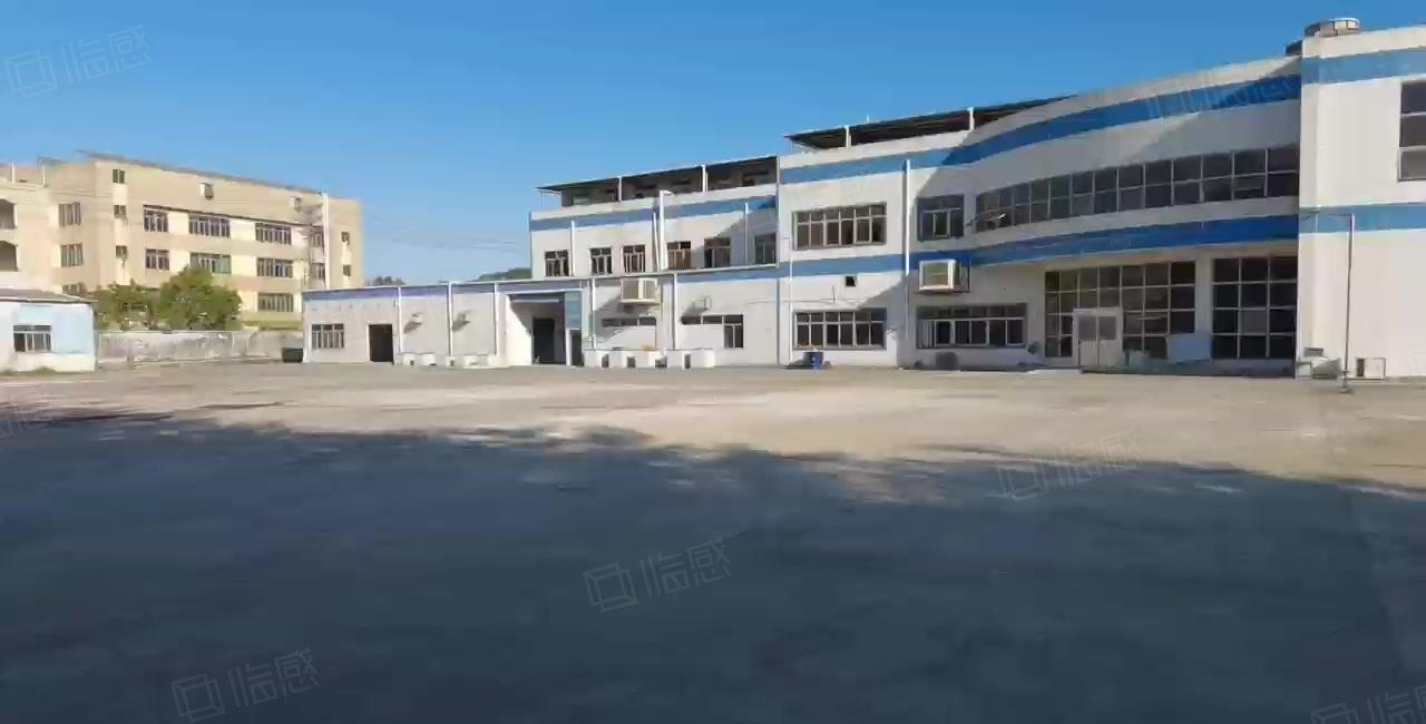 惠州市新圩镇长布村200平起分独院带钢构标准厂房原房东出租
