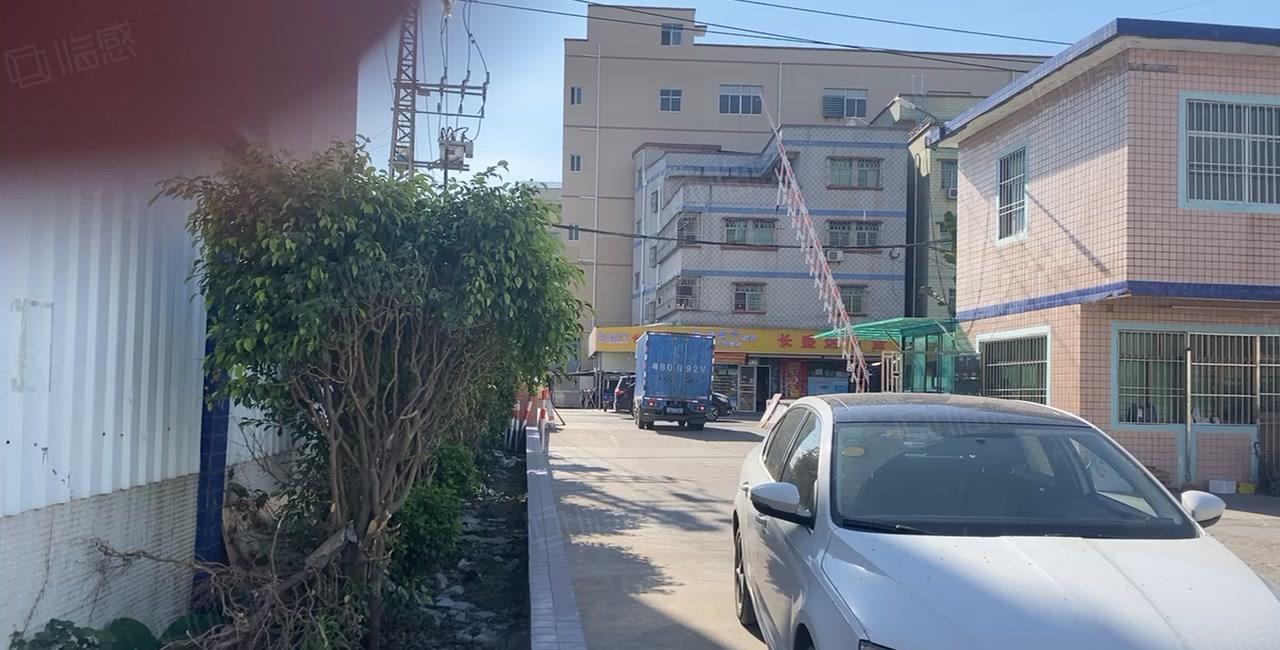 惠阳新圩长布1260独院钢构厂房仓库出租大空地原房东