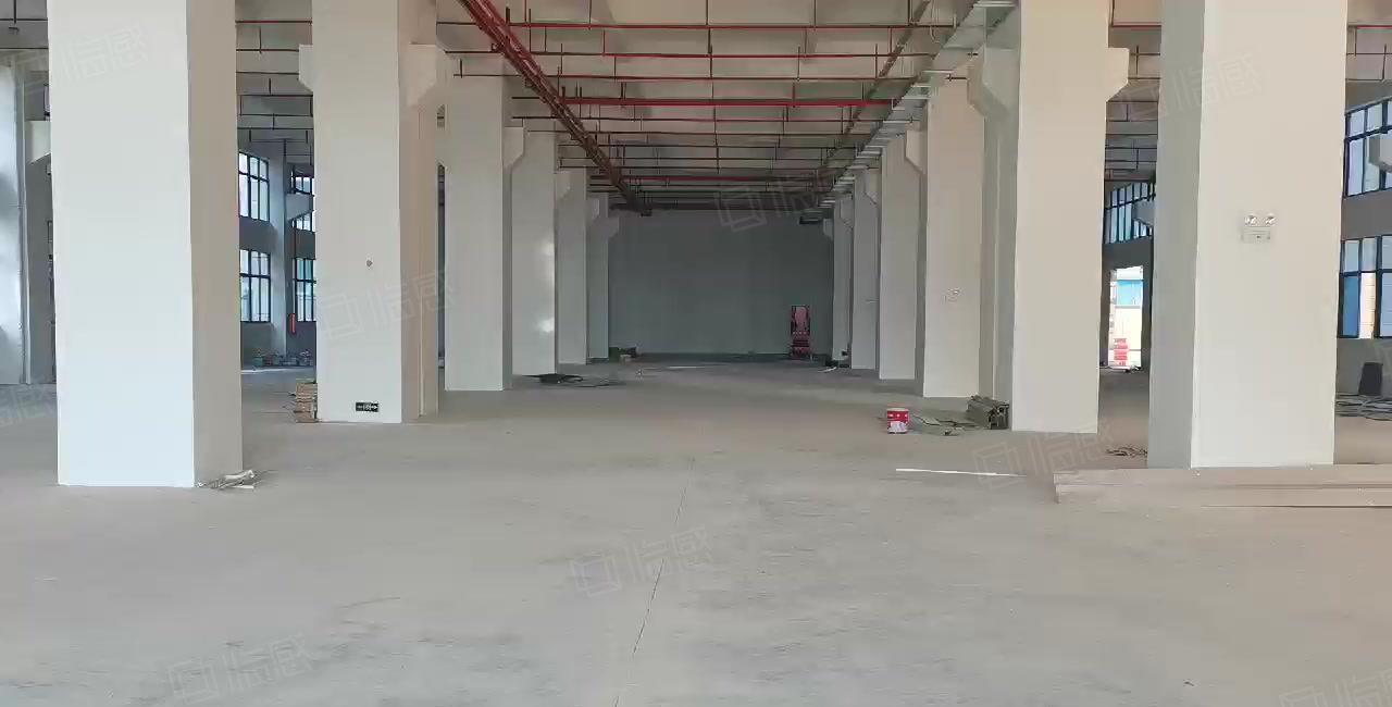镇隆原房东全新工业区标准一楼2000平米厂房仓库出租可办环评