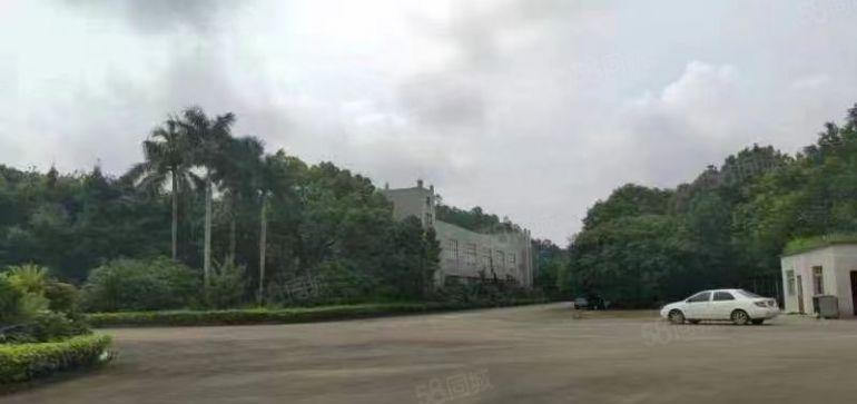 惠阳淡水新出独院花园式厂房