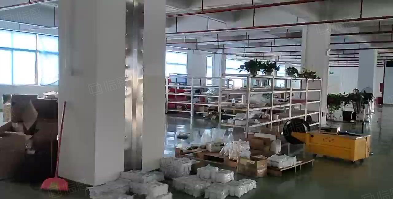 原房东厂房8元起镇隆工业园2百5百1千2千仓库厂房低价出租，