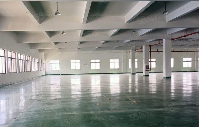 惠阳镇隆独院原房东标准厂房5100平方出租 可分租