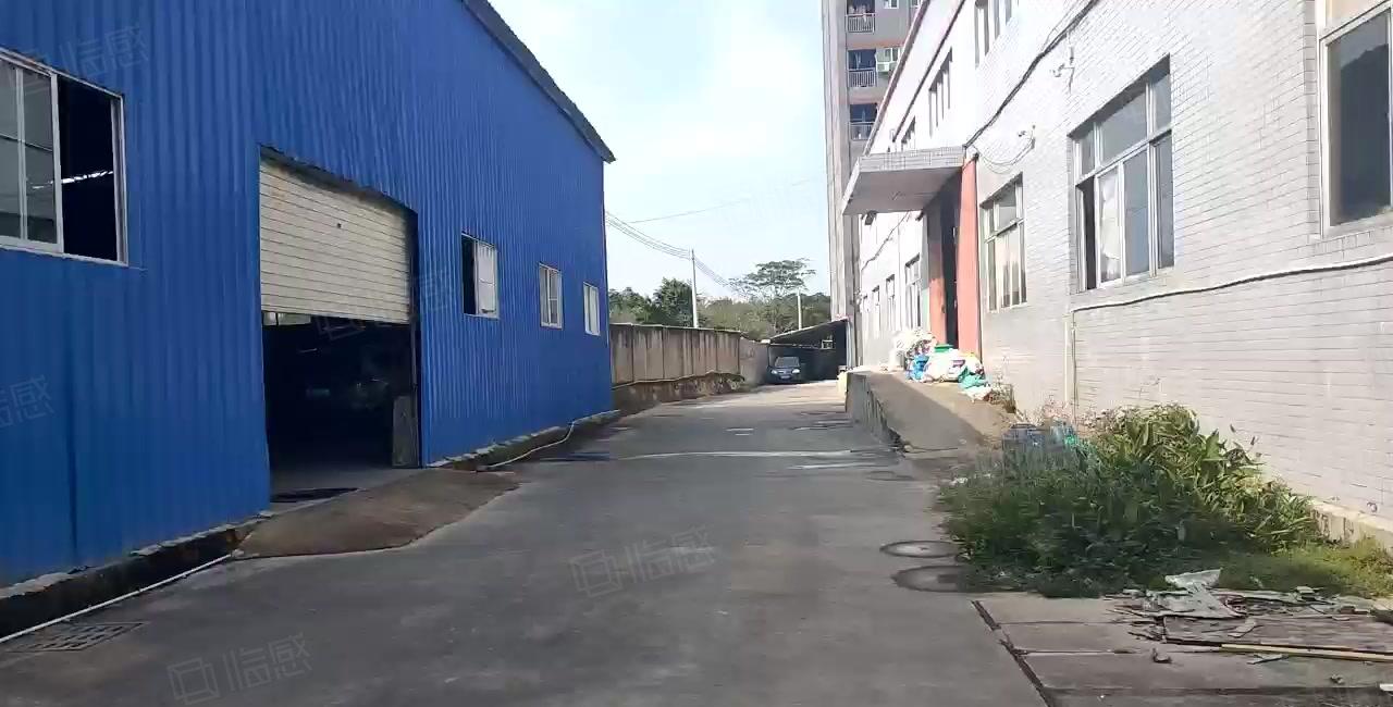 惠东县白花镇新出500平无公摊钢构厂房出租