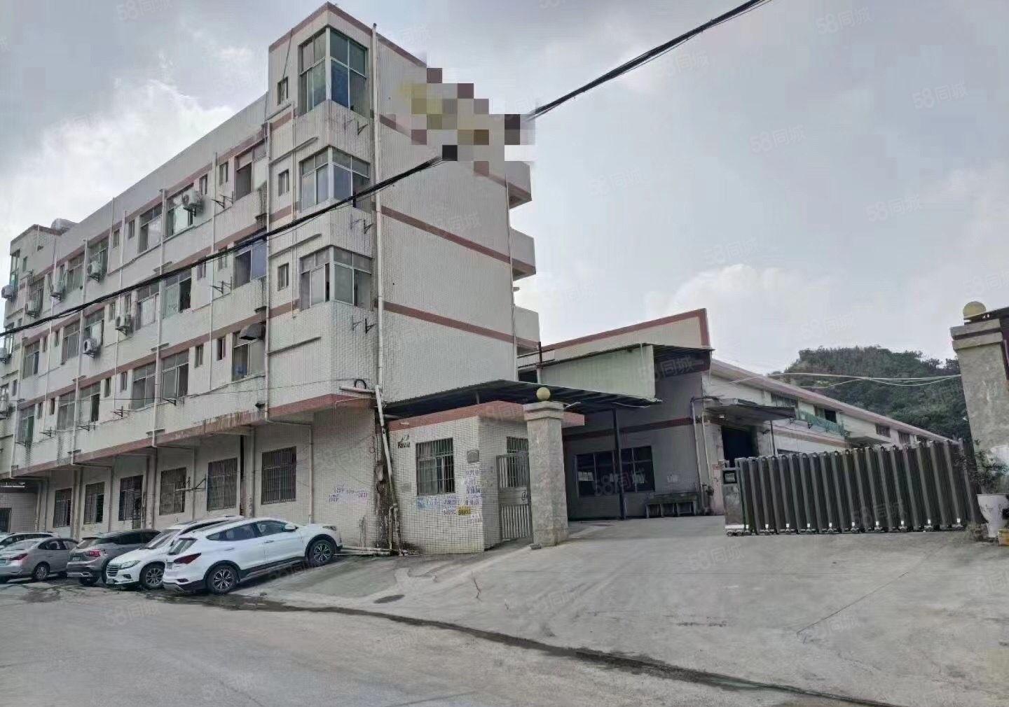 原房东实际面积独院钢构加赠钢构面积好招工空地大