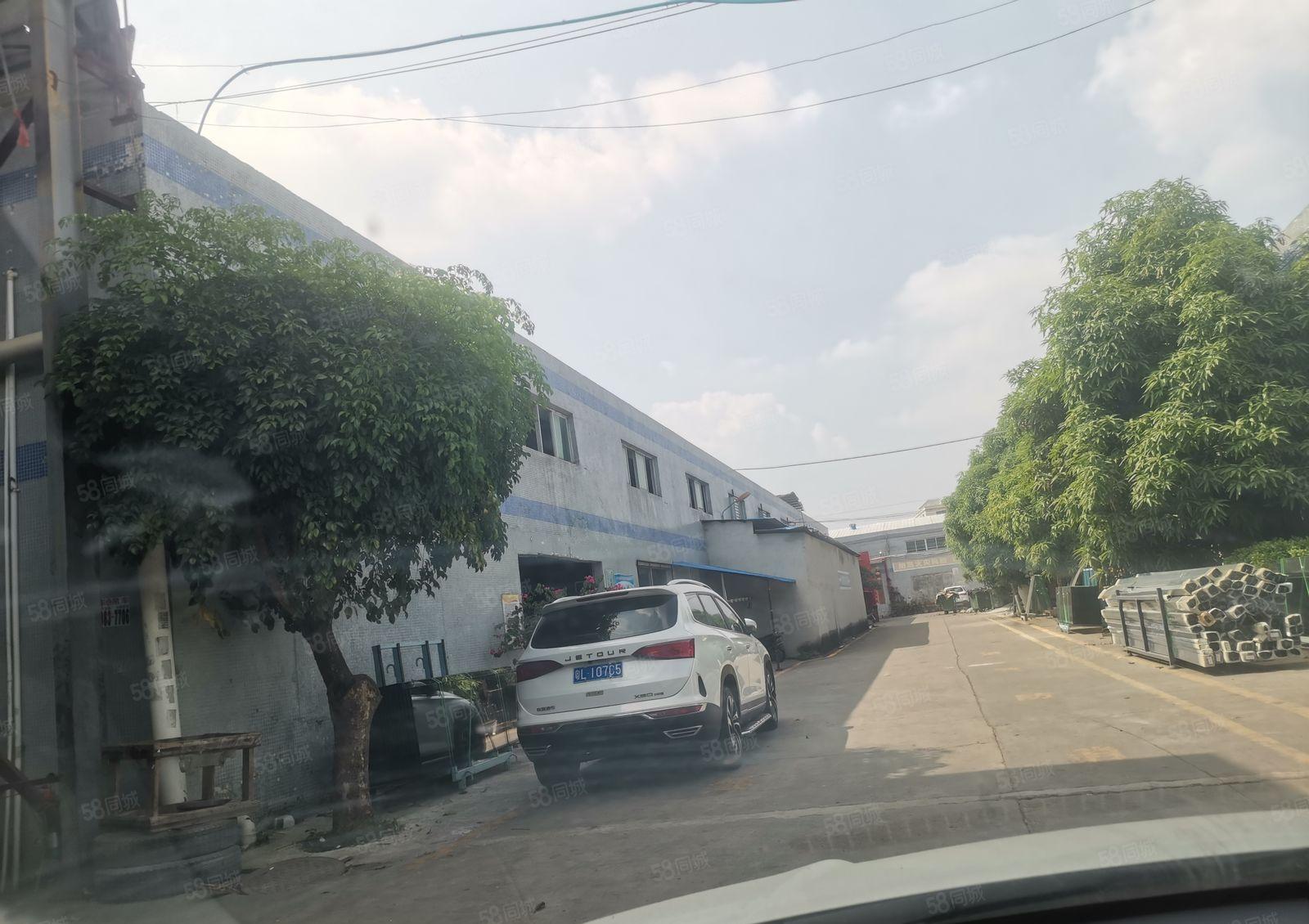 惠阳新圩高速路口原房东滴水6米实际面积出租可分租钢构1300