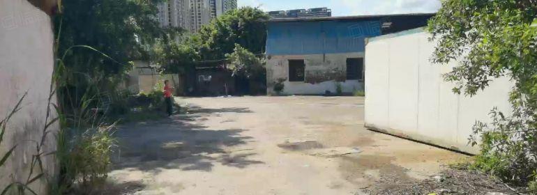 原房东 8 块钢构厂房出租，大小分组，车辆进出方便