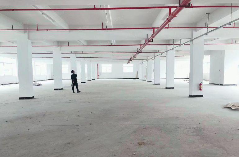 惠阳三和新出一楼二楼各2000平厂房仓库低价出租 大小分租
